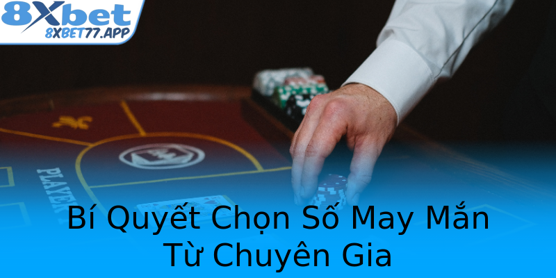 Bí Quyết Chọn Số May Mắn Từ Chuyên Gia