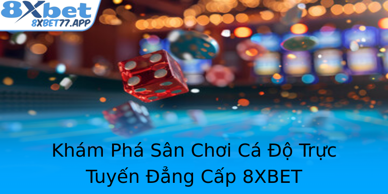 Khám Phá Sân Chơi Cá Độ Trực Tuyến Đẳng Cấp 8XBET