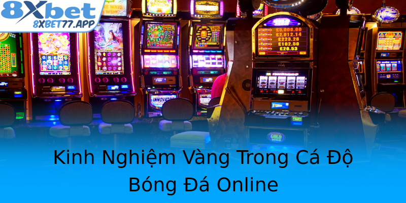 Kinh Nghiệm Vàng Trong Cá Độ Bóng Đá Online