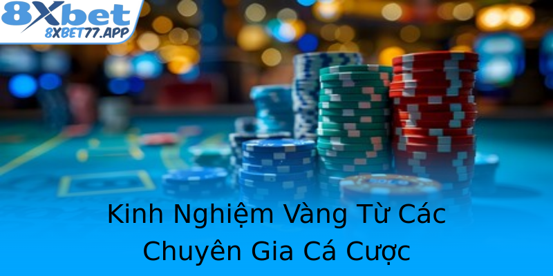 Kinh Nghiệm Vàng Từ Các Chuyên Gia Cá Cược