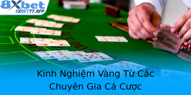Kinh Nghiệm Vàng Từ Các Chuyên Gia Cá Cược