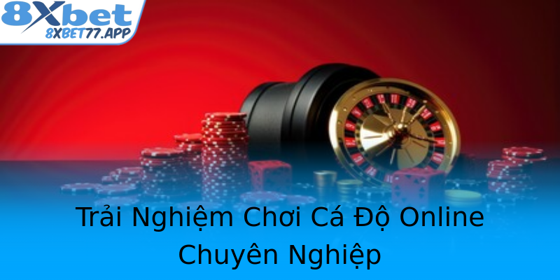 Trải Nghiệm Chơi Cá Độ Online Chuyên Nghiệp